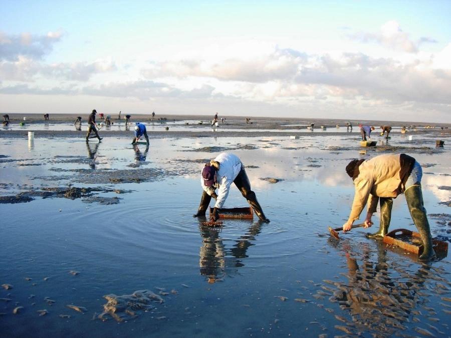 Le Gite De Martine En Baie De Somme Villa Lancheres Dış mekan fotoğraf