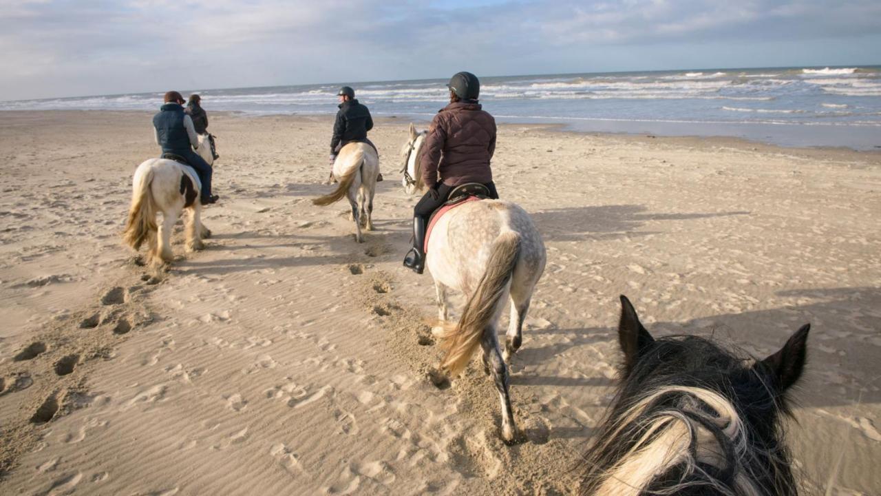 Le Gite De Martine En Baie De Somme Villa Lancheres Dış mekan fotoğraf