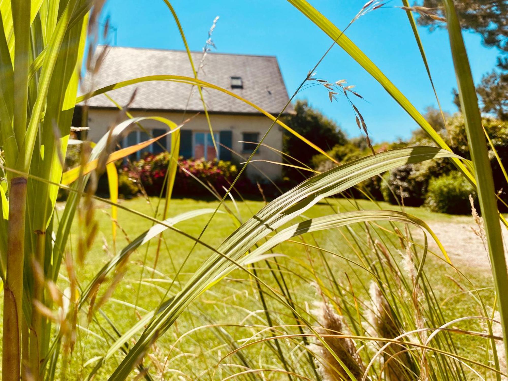 Le Gite De Martine En Baie De Somme Villa Lancheres Dış mekan fotoğraf